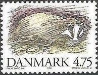 European Badger (Meles meles)