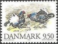 Black Grouse (Lyrurus tetrix)