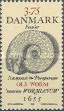 Ammonite