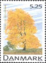 Small-leaved Lime