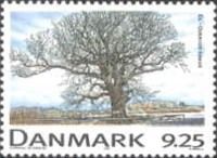 Pendunculate Oak