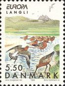 Black-tailed Godwit (Limosa limosa) - Langli Island