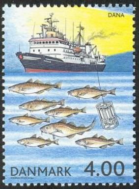 Ship, Atlantic Cod (Gadus morhua)