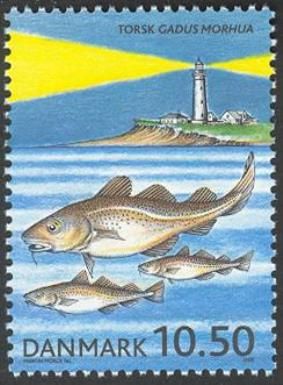 Hirtshals Lighthouse (1863), Atlantic Cod (Gadus morhua)