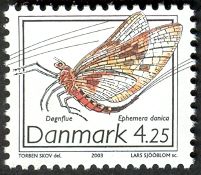 Mayfly (Ephemera danica)