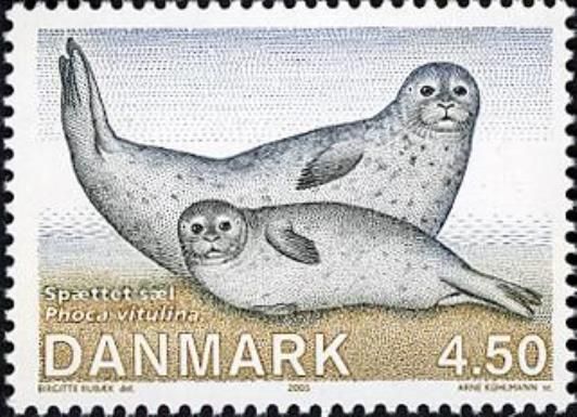 Harbour Seal (Phoca vitulina)