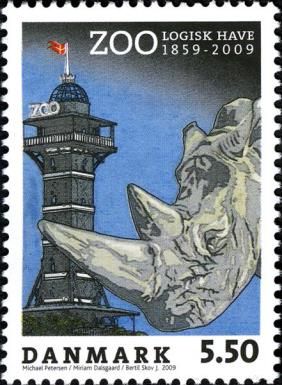 White Rhinoceros (Ceratotherium simum)