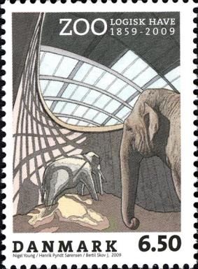 Asian Elephant (Elephas maximus)