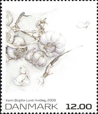 Garlic by Karin Birgitte Lund