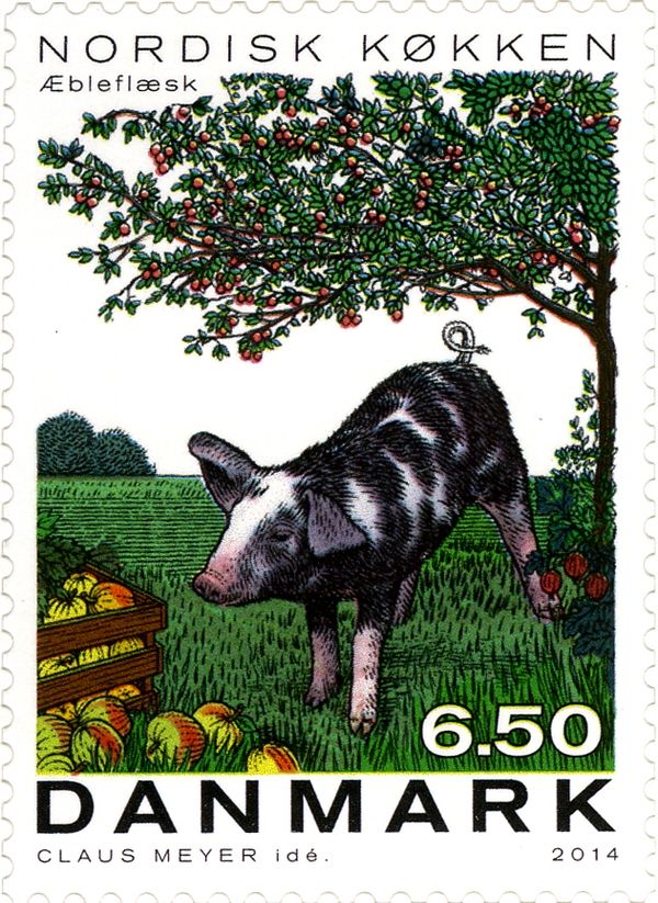 Pig and apples