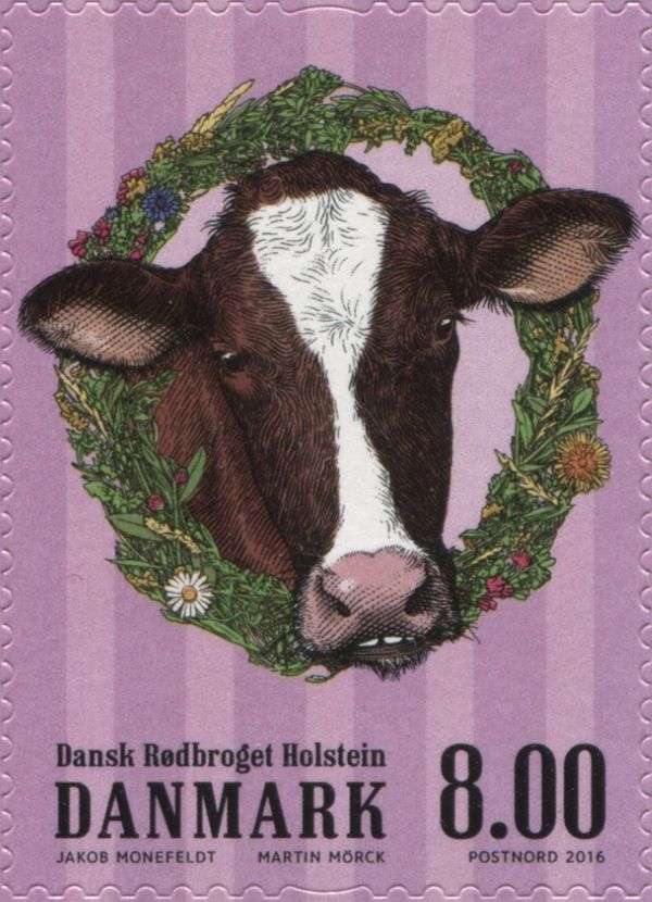 Farm Animals