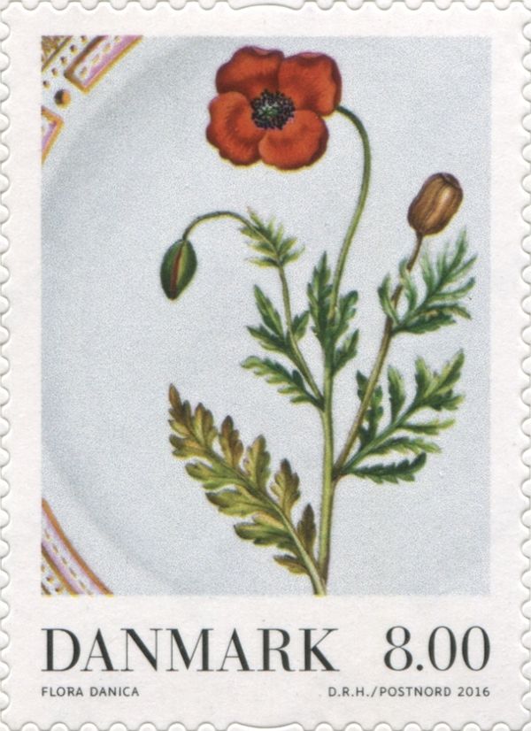 Porcelain plate - Flora Danica