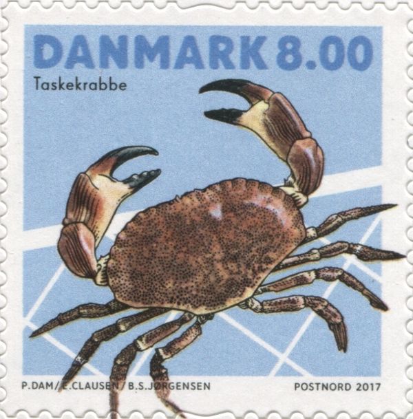 Seafood Taskekrabbe