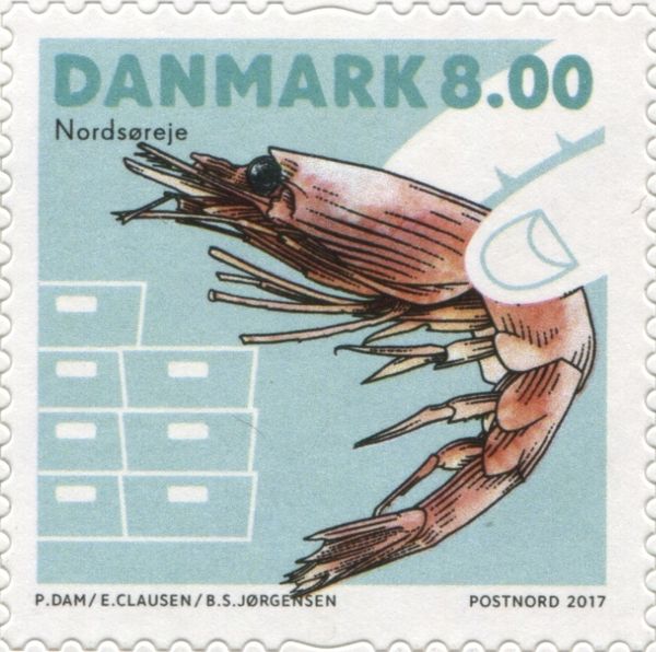 Seafood Shrimp