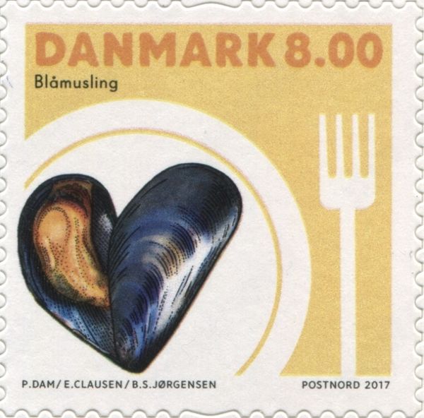 Mussels