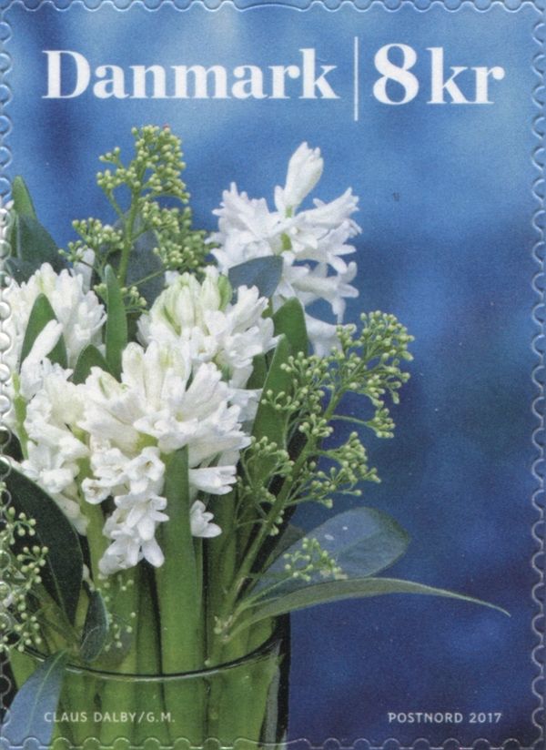 Winterflowers