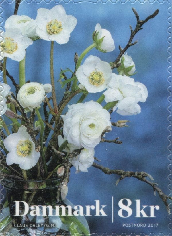 Winterflowers