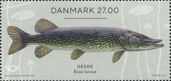 Norden Issue : Esox lucius