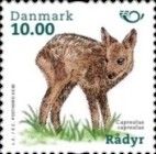 Western Roe Deer (Capreolus capreolus)