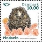 West European Hedgehog (Erinaceus europaeus)
