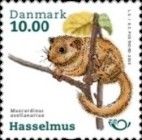 Hazel Dormouse (Muscardinus avellanarius)