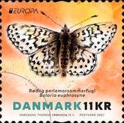 Pearl-bordered Fritillary (Boloria euphrosyne)