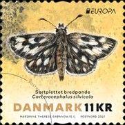 Northern Chequered Skipper (Carterocephalus silvicola)
