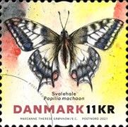 Old World Swallowtail (Papilio machaon)