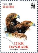 Golden Eagle (Aquila chrysaetos)