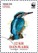 European Kingfisher (Alcedo atthis)
