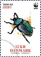 Hermit Beetle (Osmoderma eremita)