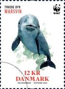 Harbour Porpoise (Phocoena phocoena)