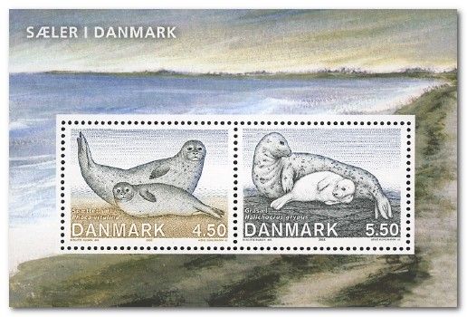 Harbour Seal (Phoca vitulina), Gray Seal (Halichoerus grypus