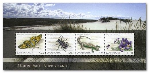 Butterfly, Beetle, Lizard