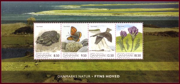 Fyns Hoved on Funen - Toad, Butterfly, Bird, Flower