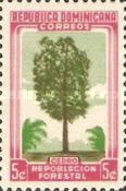 Cedro (Toona odorata)