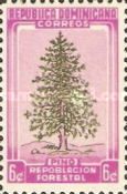 Pino (Pinus australis)