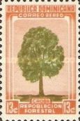 Caoba - Cedar
