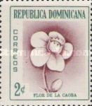 Mahogany Flower (Caoba)