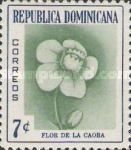 Mahogany Flower (Caoba)