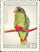 Hispaniolan Parrot (Amazona ventralis)