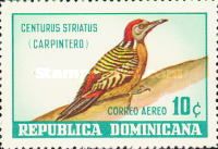 Hispaniolan Woodpecker (Centurus striatus)