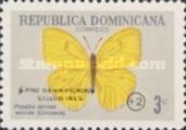 Cloudless Sulphur (Phoebis sennae)