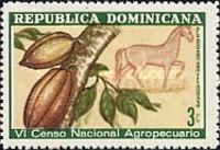 Cocoa, Horse (Equus ferus caballus)