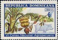 Bananas, Coffee, Domestic Pig (Sus scrofa domestica)
