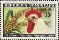Chicken (Gallus gallus domesticus), Wheat