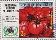 Tomatoes
