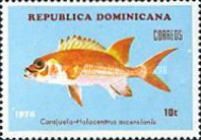 Squirrelfish (Holocentrus adscensionis)