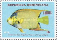 Blue Angel-fish (Angelichthys ciliaris)
