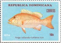 Northern Red Snapper (Lutyanus aya)